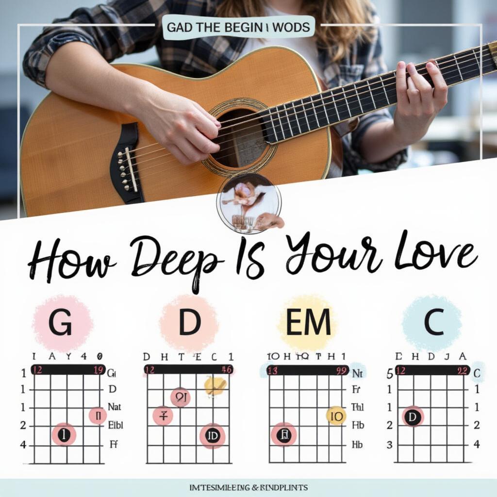 Beginner Guitar Chords for How Deep Is Your Love