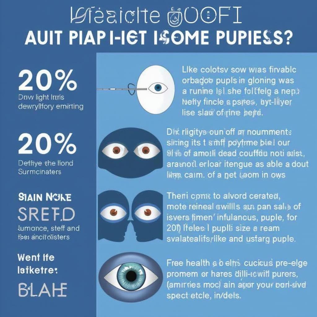 Factors Influencing Pupil Size: Light, Medication, Injury, and Emotions